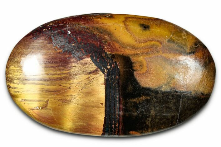 Polished Marra Mamba Tiger's Eye - Australia #342050